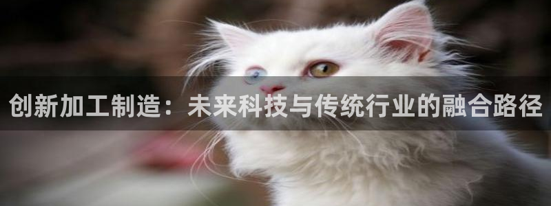 谈球吧与普通平台对比