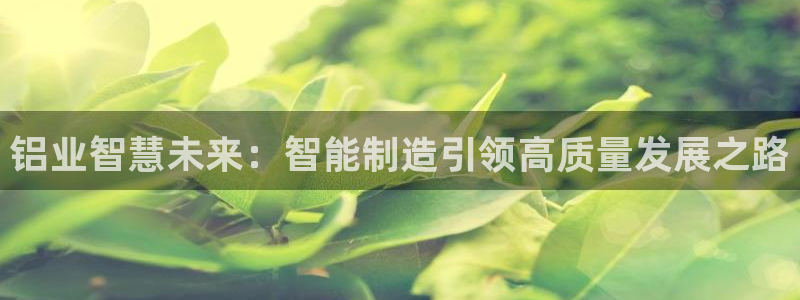 谈球吧官网登录
