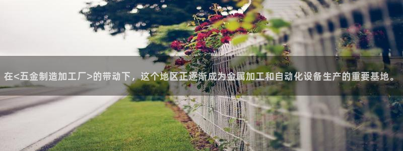 谈球吧体育app下载中心官方
