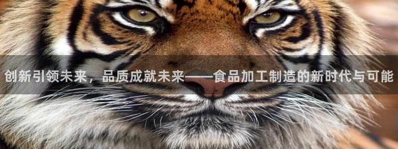 谈球吧app官网下载安卓