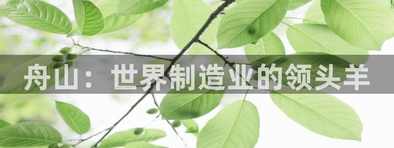 谈球吧app官网