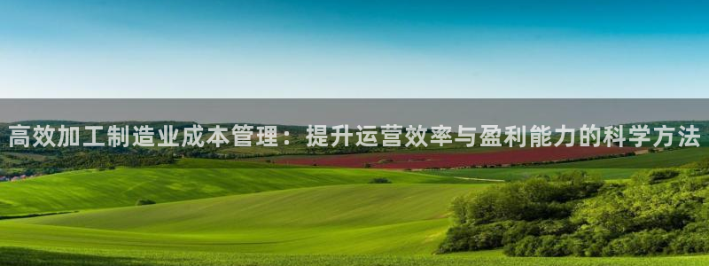 谈球吧与普通平台对比