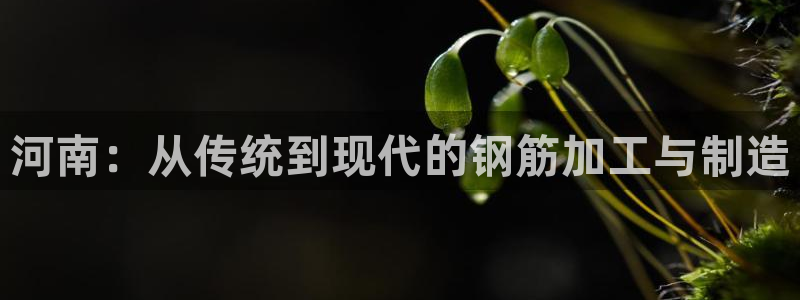 谈球吧官网在线入口手机版免费观看