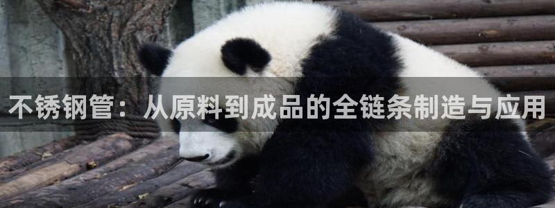 谈球吧官网在线入口手机版下载安装